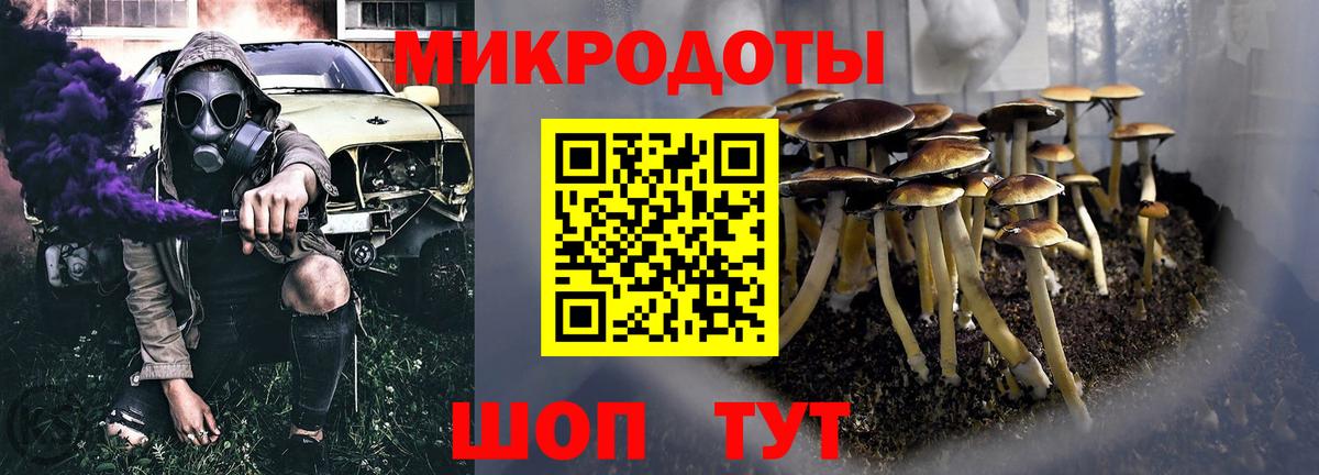 Галлюциногенные грибы мухоморы Артёмовский